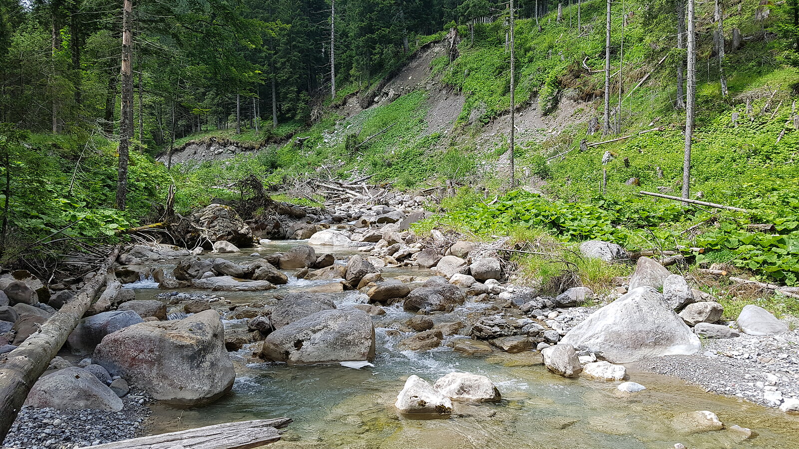 Naturbelassener Bachlauf der Samina